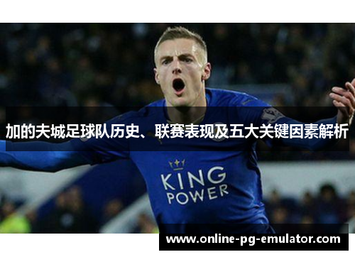 加的夫城足球队历史、联赛表现及五大关键因素解析