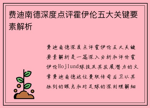费迪南德深度点评霍伊伦五大关键要素解析 费迪南德深度点评霍伊伦五大关键要素解析