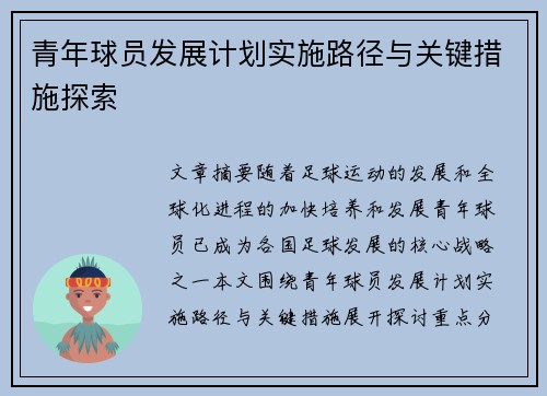 青年球员发展计划实施路径与关键措施探索